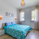 Timo By Interhome Apartamento San Vincenzo